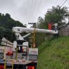 Cesta Aérea com operador.